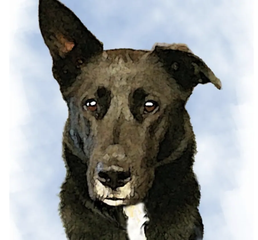 Dog Portrait, Painting