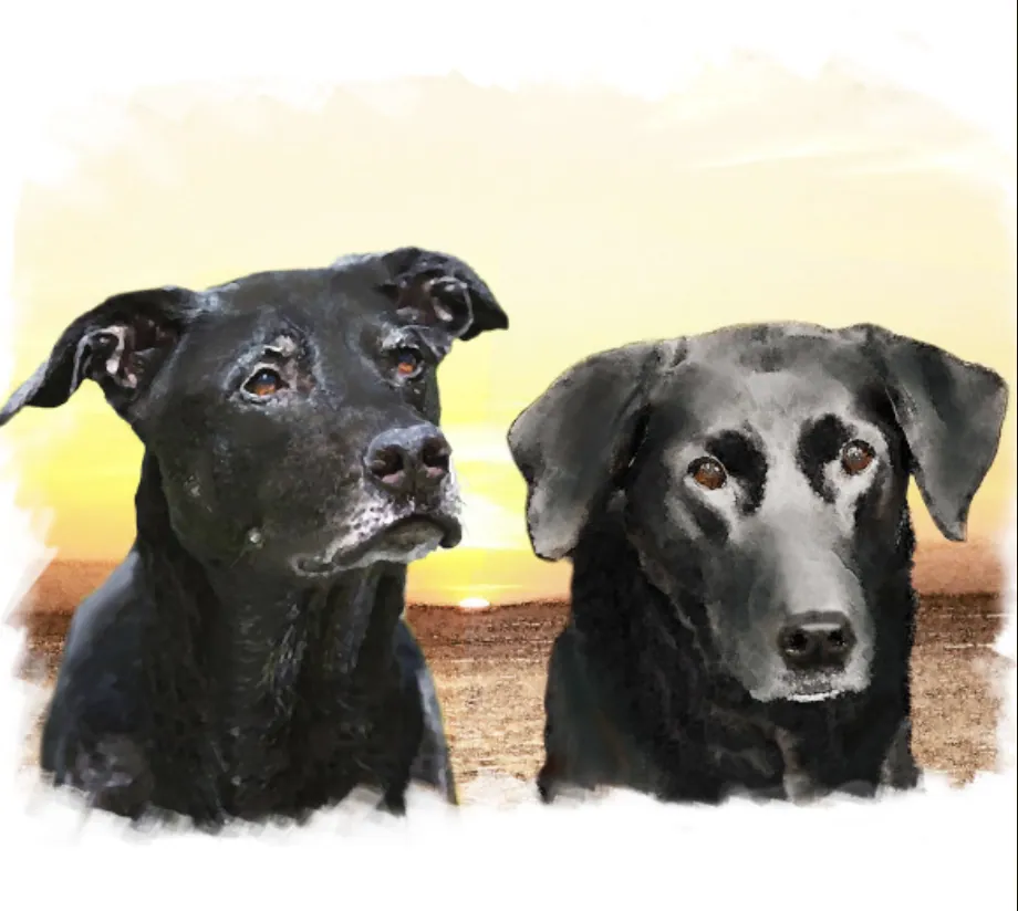 Two Labs, Painting