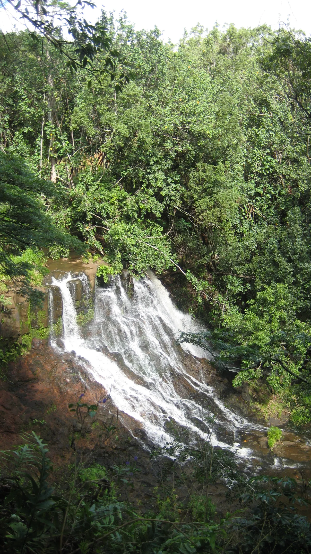 Waterfall on the road to Hana
